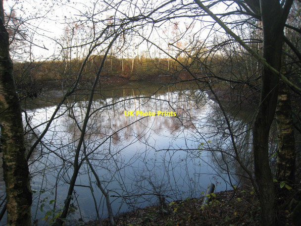 Photo 6"x4" Irrigation Pond Manton\/SE9302 c2011