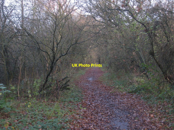 Photo 6"x4" Sand Lane Manton\/SE9302 c2011