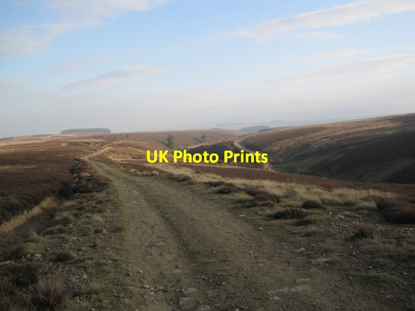 Photo 6"x4" Bridleway on Eshells Moor Whapweasel Burn c2011