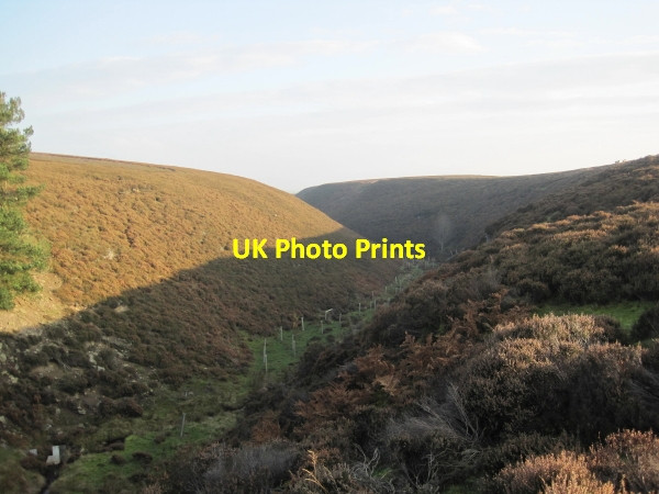 Photo 6"x4" Valley of Whapweasel Burn Dalton\/NY9158 c2011