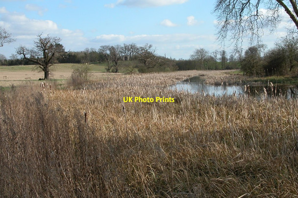 Photo 6"x4" Croome River in March 2005 Dunstall Common c2005