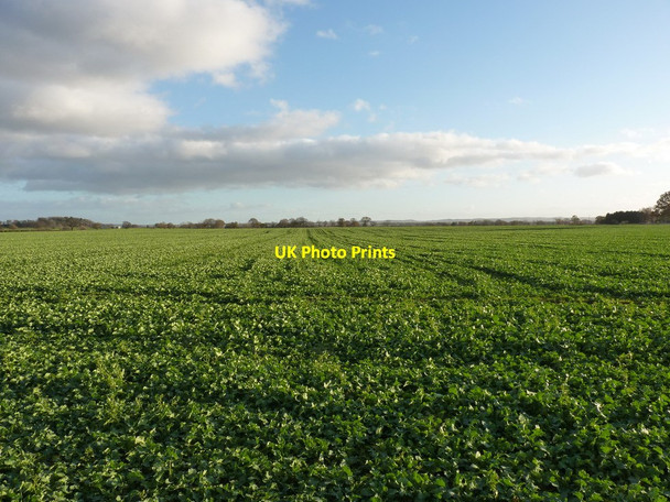 Photo 6"x4" Farmland east of Waters Upton Waters Upton c2011