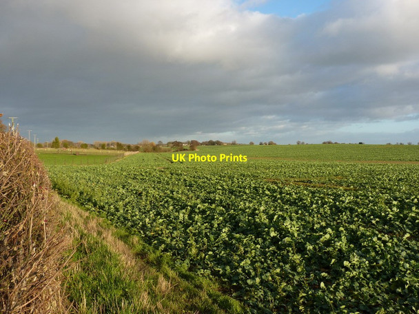 Photo 6"x4" Farmland at Harebutt Bank Great Bolas c2011