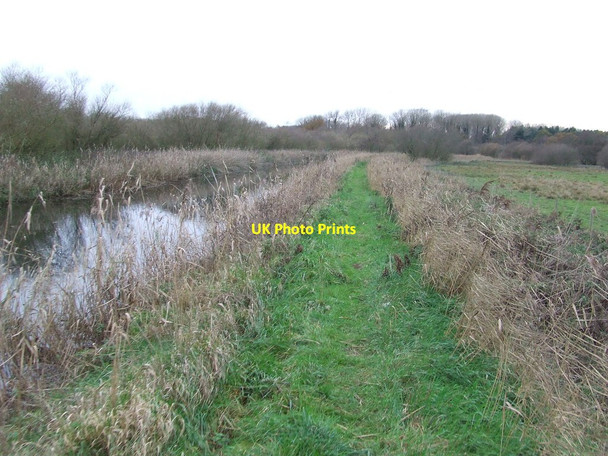 Photo 6"x4" River Footpath Barton Mills c2011