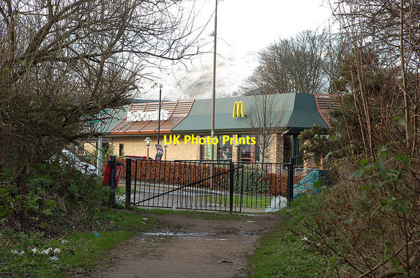 Photo 6"x4" Track to the Local Nature Reserve, Straiton Loanhead\/NT2765 c2011