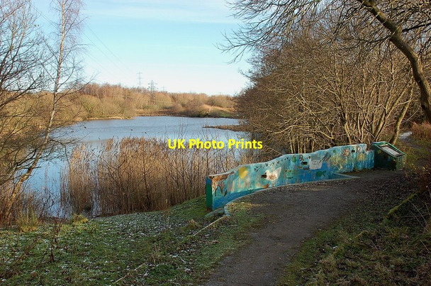 Photo 6"x4" Straiton Pond Nature Reserve Bonnyrigg c2011