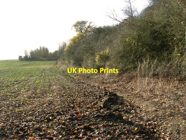 Photo 6"x4" Suffolk Light Railway (disused) embankment near Debenham Aspall c2011