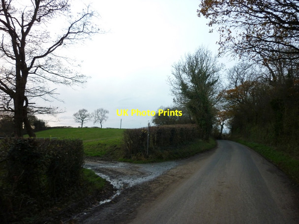 Photo 6"x4" A public footpath near Cockshoot Bridge Awre c2011