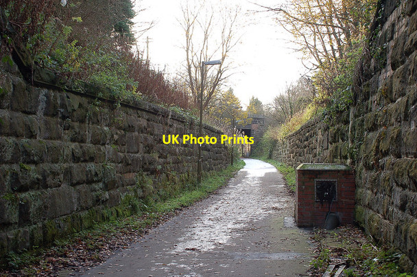 Photo 6"x4" Old railway cutting in Loanhead Bonnyrigg c2011