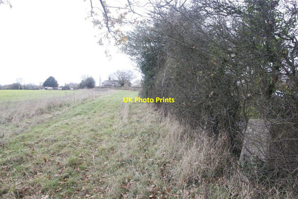 Photo 6"x4" Along the hedge line Kiff Green c2011