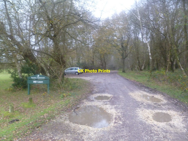 Photo 6"x4" Burley Lawn, forestry car park Burley Lawn c2011