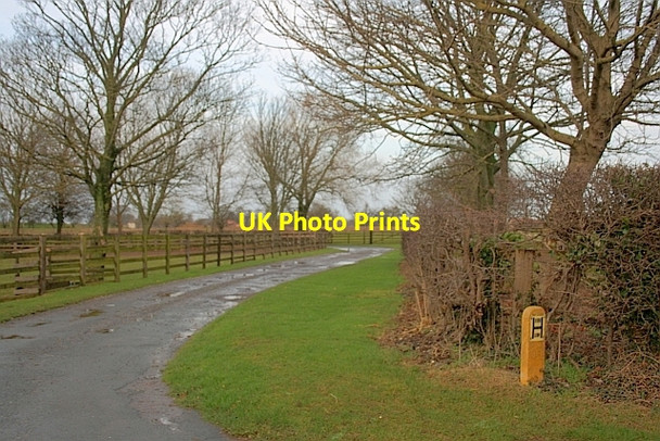 Photo 6"x4" Entrance to Tancread Grange Bolton-on-Swale c2011