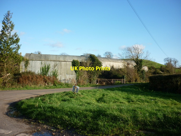 Photo 6"x4" Willis Elm  Farm Bevington c2011