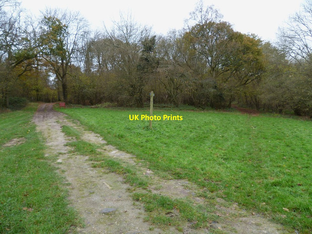 Photo 6"x4" Bridleway crosses Angmering Estate track Burpham\/TQ0408 c2011