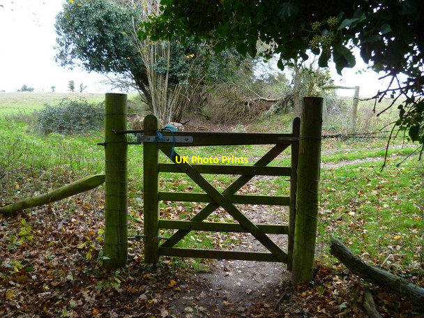 Photo 6"x4" Gate on bridleway on Warningcamp Hill Burpham\/TQ0408 c2011
