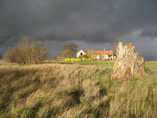 Photo 6"x4" All things come to an end Moor Wood\/TF0152 c2011