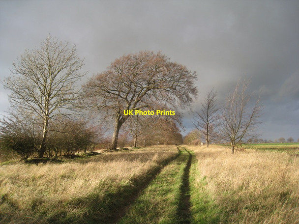 Photo 6"x4" Warren Lane Wellingore c2011