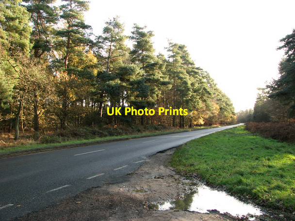 Photo 6"x4" The B1106 road past Parsonage Heath, Elveden Elveden c2011