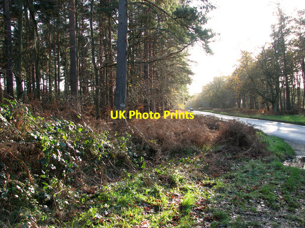 Photo 6"x4" The B1106 road to Elveden Elveden c2011