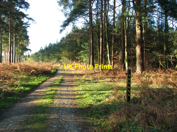 Photo 6"x4" This way to Spinks Lodge, Elvedon Elveden c2011