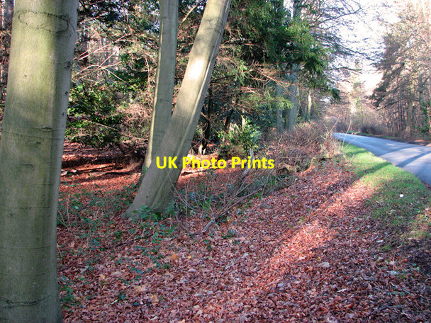 Photo 6"x4" The B1106 road past Mount Plantation, Brandon Park Brandon\/TL7886 c2011