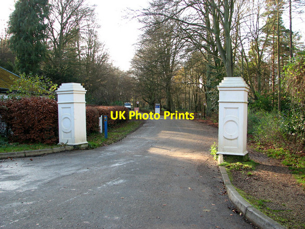 Photo 6"x4" Driveway to Brandon Park House, Brandon Country Park Brandon\/TL7886 c2011