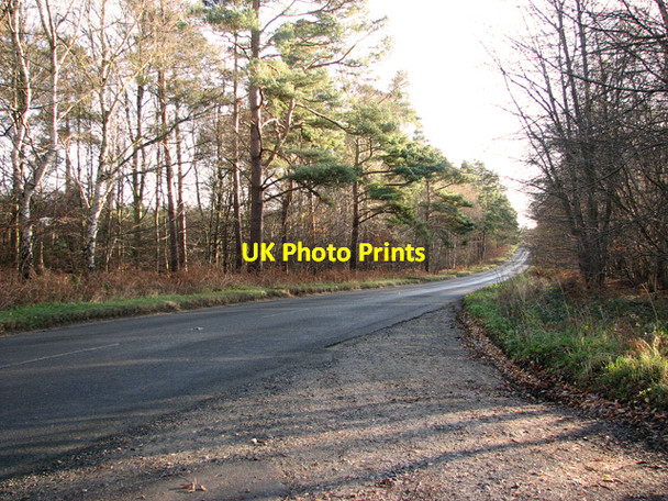 Photo 6"x4" Lane past Lynnroad Covert, Weeting Weeting c2011