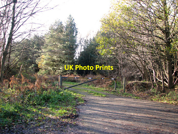 Photo 6"x4" Track into Lynnroad Covert, Weeting Weeting c2011