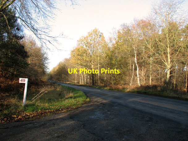 Photo 6"x4" View towards Lynnroad Covert, Weeting Weeting c2011