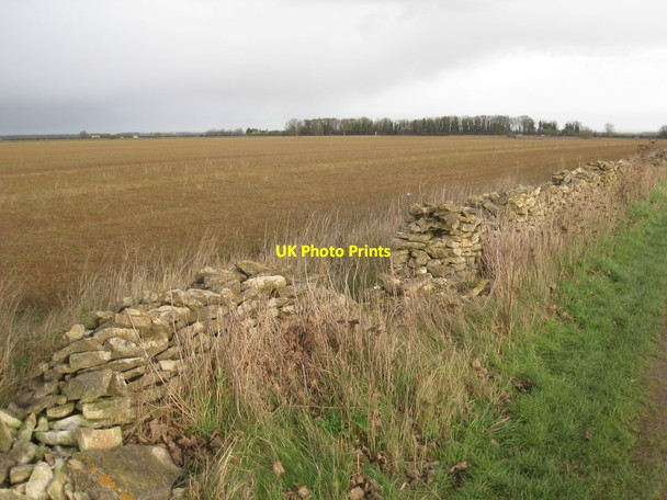 Photo 6"x4" View towards Toll Bar Plantation Ashby de la Launde c2011