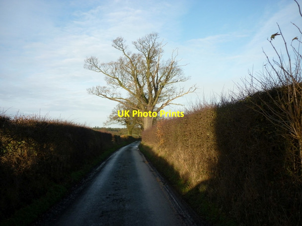 Photo 6"x4" Beighterton Lane Blymhill c2011