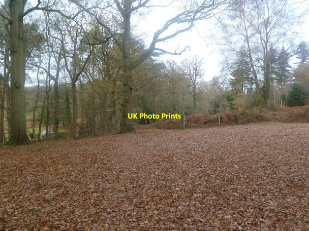 Photo 6"x4" Burley, forestry car park Burley Lawn c2011