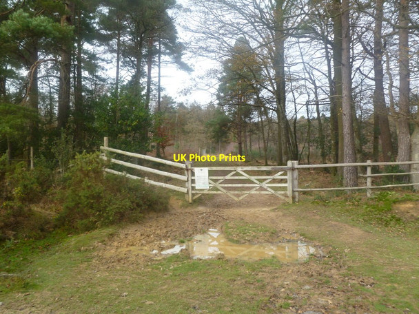Photo 6"x4" Burley New Inclosure, gate Burley Lawn c2011