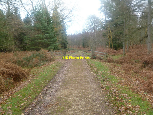 Photo 6"x4" Burley New Inclosure, gates Burley Lawn c2011