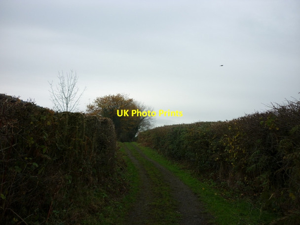 Photo 6"x4" A green lane off Tilston Road Malpas\/SJ4847 c2011