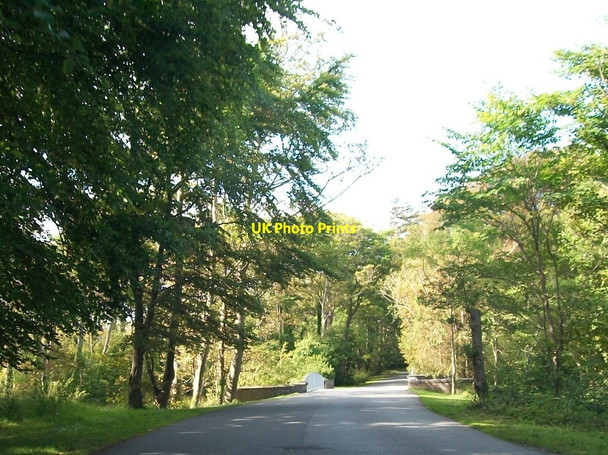 Photo 6"x4" Bridge over the Carrow Beg River within the Demesne of Westport House Westport\/M0084 c2011