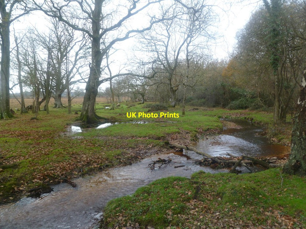 Photo 6"x4" Markway, meander Burley Lawn c2011