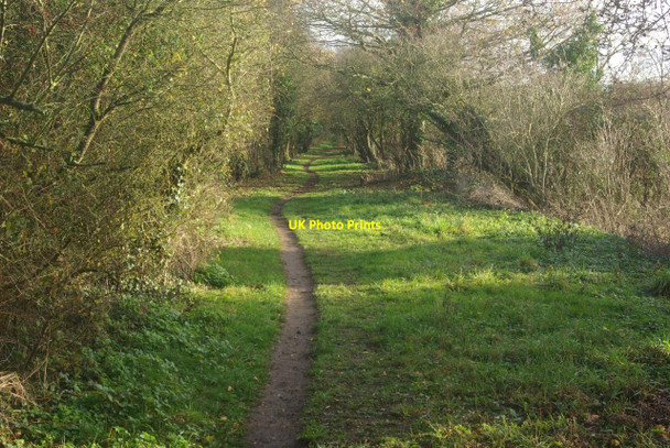 Photo 6"x4" Former railway towards Upton upon Severn Tunnel Hill\/SO8440 c2011