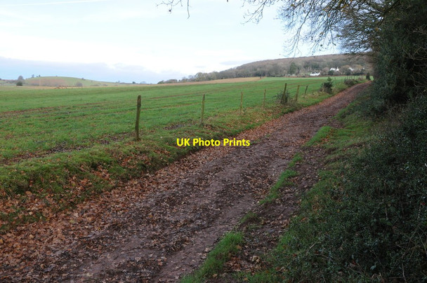 Photo 6"x4" Farmland near Trelleck Grange Parkhouse\/SO4902 c2011