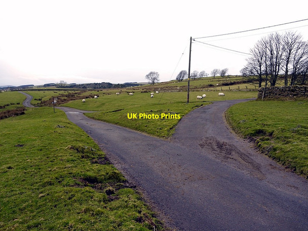 Photo 6"x4" Junction of minor roads west of Landshot Elsdon\/NY9393 c2011