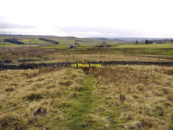 Photo 6"x4" South-west slopes of Landshot Hill Elsdon\/NY9393 c2011