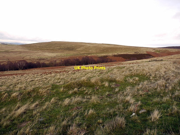 Photo 6"x4" North-west side of Landshot Hill towards Landshot Burn Elsdon\/NY9393 c2011