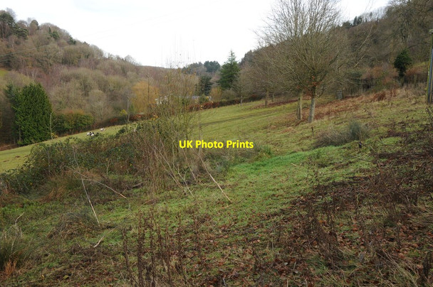 Photo 6"x4" Penarth Brook valley Llanishen\/SO4703 c2011