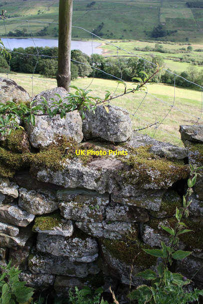 Photo 6"x4" Benchmark on top of wall of Marsett Lane Countersett c2011