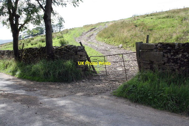 Photo 6"x4" Gateway on Marsett Lane opposite Carr End Farm Marsett c2011