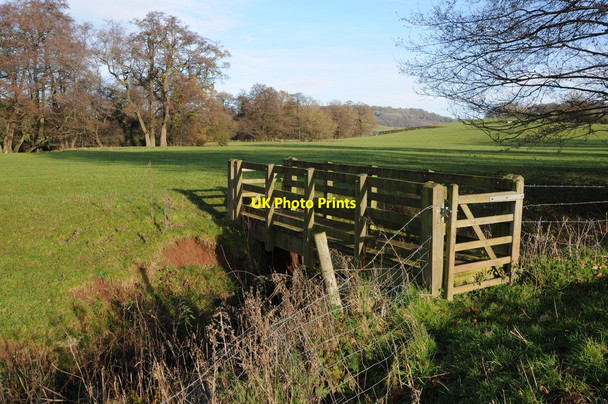 Photo 6"x4" Footbridge over a stream Llansoy c2011
