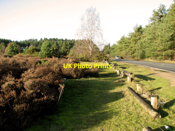 Photo 6"x4" The B1107 road fromThetford to Brandon past Warren Wood, Thetford Thetford\/TL8783 c2011