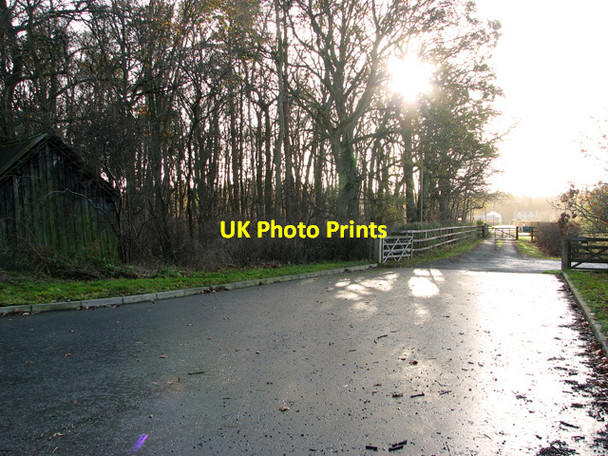 Photo 6"x4" Entrance drive to the Shadwell Estate, Santon Downham Santon Downham c2011