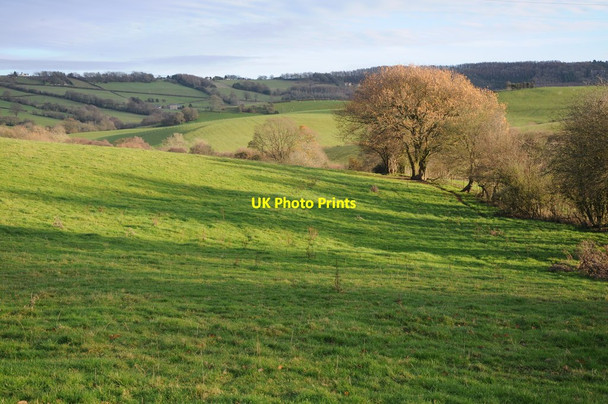 Photo 6"x4" Farmland above Lanpill Cobbler's Plain c2011