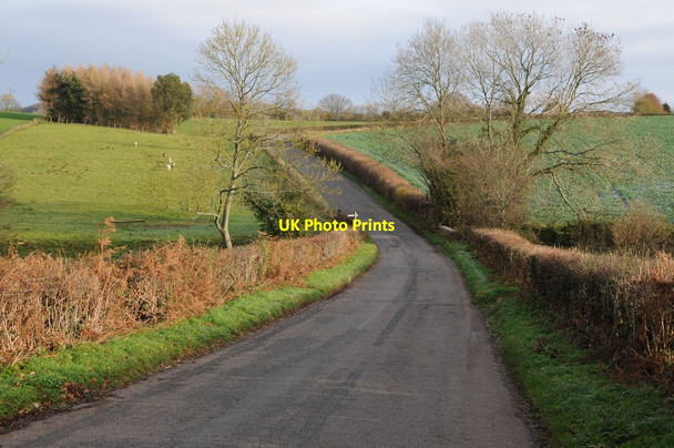 Photo 6"x4" Road to Trelleck Grange New Inn\/SO4800 c2011